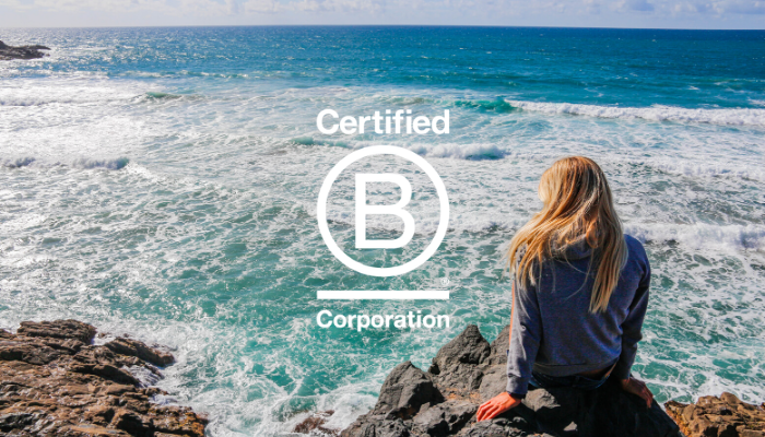 Wholesome Hub B Corp Certified